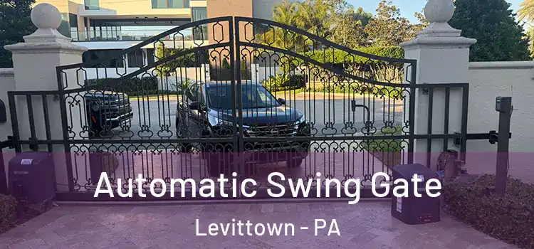 Automatic Swing Gate Levittown - PA