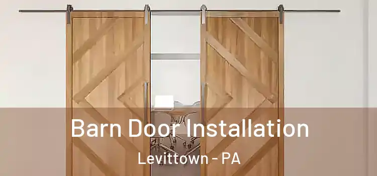 Barn Door Installation Levittown - PA