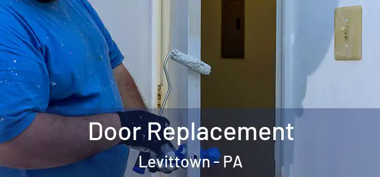  Door Replacement Levittown - PA