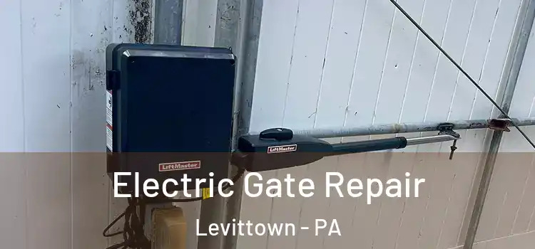 Electric Gate Repair Levittown - PA