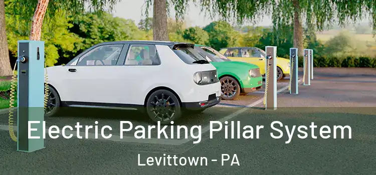 Electric Parking Pillar System Levittown - PA