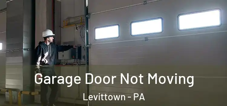  Garage Door Not Moving Levittown - PA