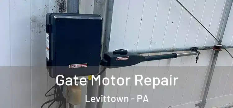 Gate Motor Repair Levittown - PA