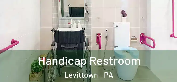 Handicap Restroom Levittown - PA