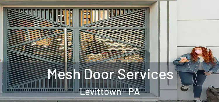 Mesh Door Services Levittown - PA