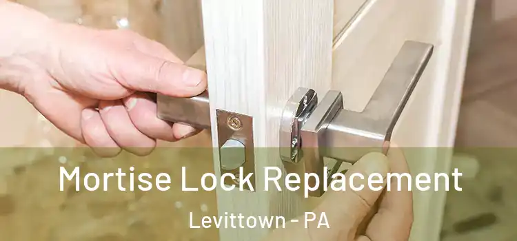 Mortise Lock Replacement Levittown - PA